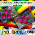 African Black Ant Pills 15